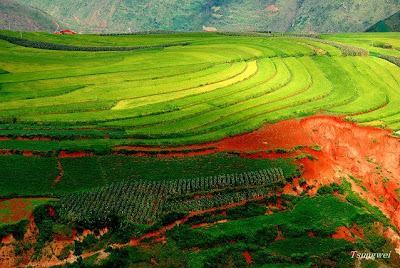 Amazing Red Land of China, Lexiaguo