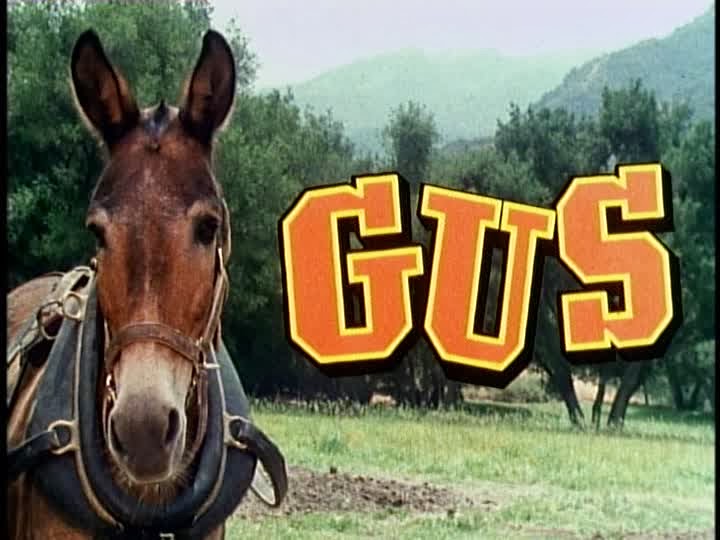 Filming Locations Gus (1976) San Fernando Valley Blog