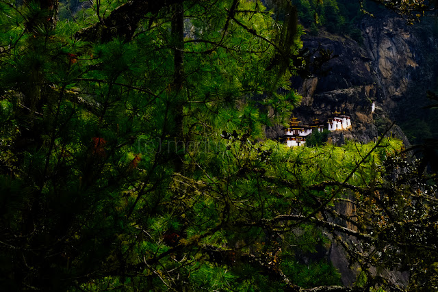 Paro Taktsang / Tiger's Nest Monastery Paro Taktsang / Tiger's Nest Monastery