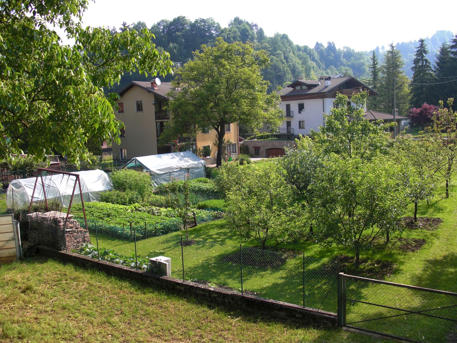 VegHeadz: Italian Vegetable Gardens
