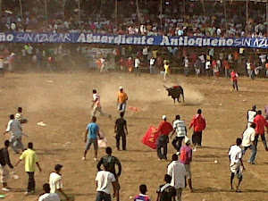 Corralejas en Ciénaga de Oro