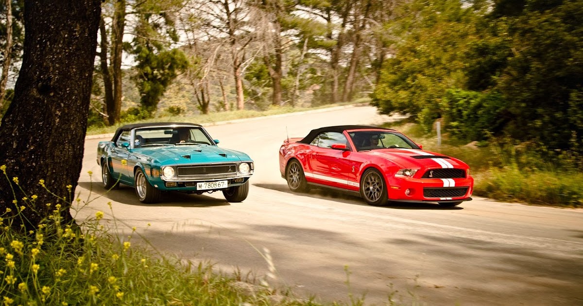 Brighton Ford 50 Years of Mustang Celebrated With CrossCounty Drive