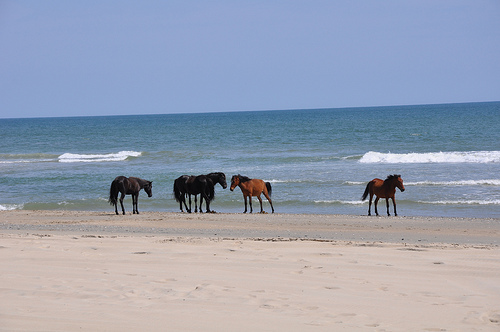 Corolla Outer Banks Nc County Property Deeds Corolla Outer Banks Nc County Property Deeds