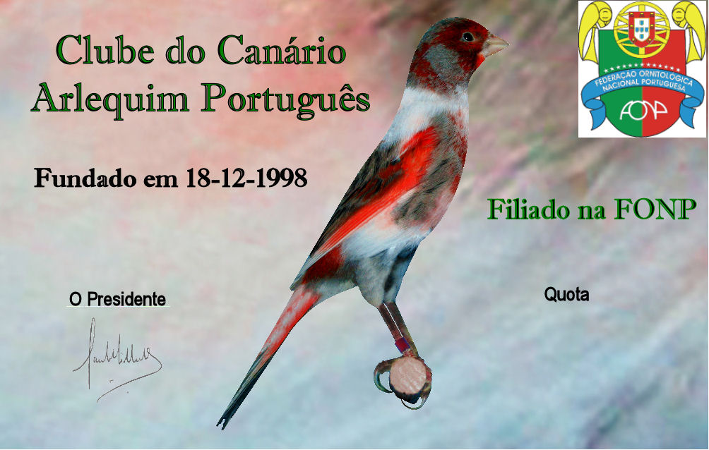 CLUBE DO CANÁRIO ARLEQUIM PORTUGUÊS