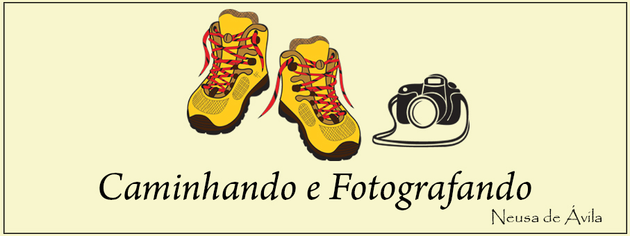  Caminhando e fotografando