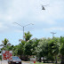 Sicarios del cártel de Sinaloa atacan un helicóptero de la Armada de México en Badiraguato, Sinaloa