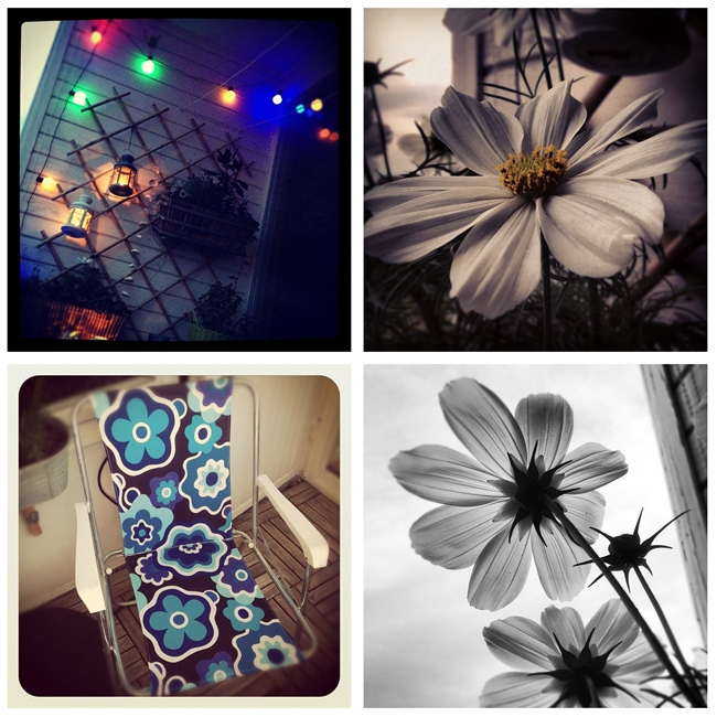 Annapinglan Instagram Annapinglan Instagram