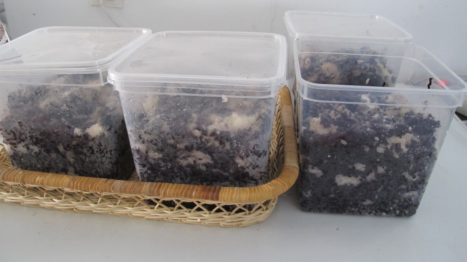 Kreasi Dapur Iis Sukendar Tape Ketan Hitam Manis