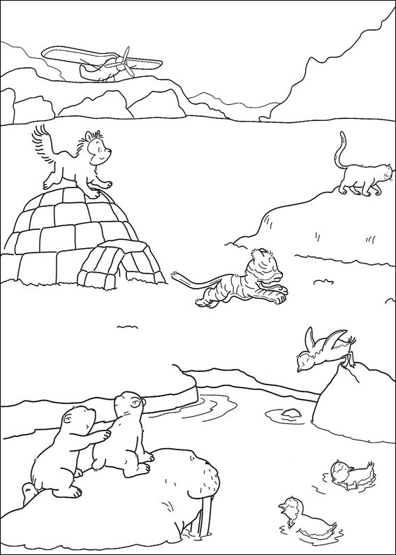 Desene Animate Cu Ursi