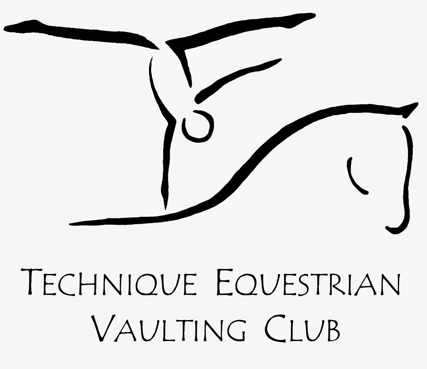 Technique Equestrian Vaulting Club