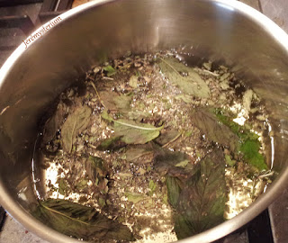 Bouillon d'herbes pour pâte de seitan Bouillon préliminaire de menthe et thym du jardin, ainsi que d'autres herbes, pour préparer une pâte de Seitan