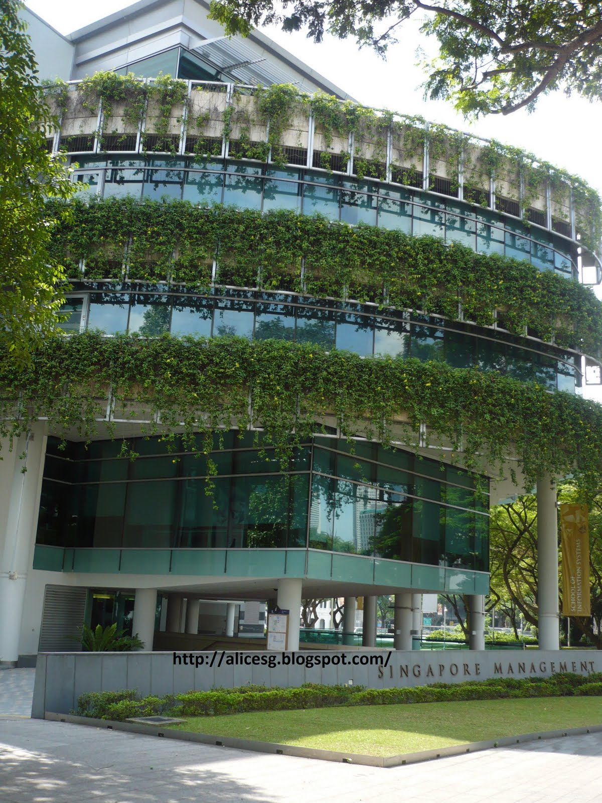 AlicesgSingaporemyhome Skywatch Friday Singapore Management