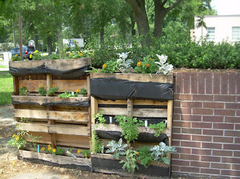 Herbs and Flowers