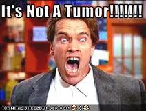 NotATumor.jpeg