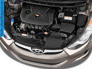 Hyundai elantra car 2012 engine - صور محرك سيارة هيونداى النترا 2012 Hyundai elantra car 2012 engine - صور محرك سيارة هيونداى النترا 2012