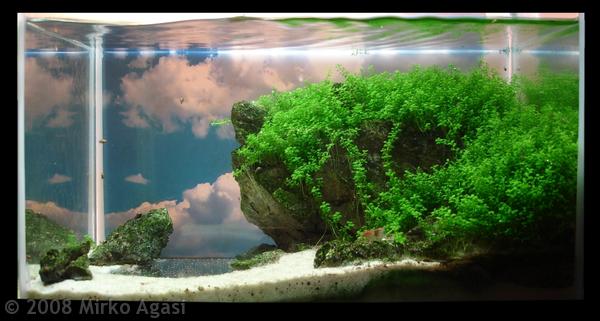 House Design And Interior Decoration How To Make Aquascape With