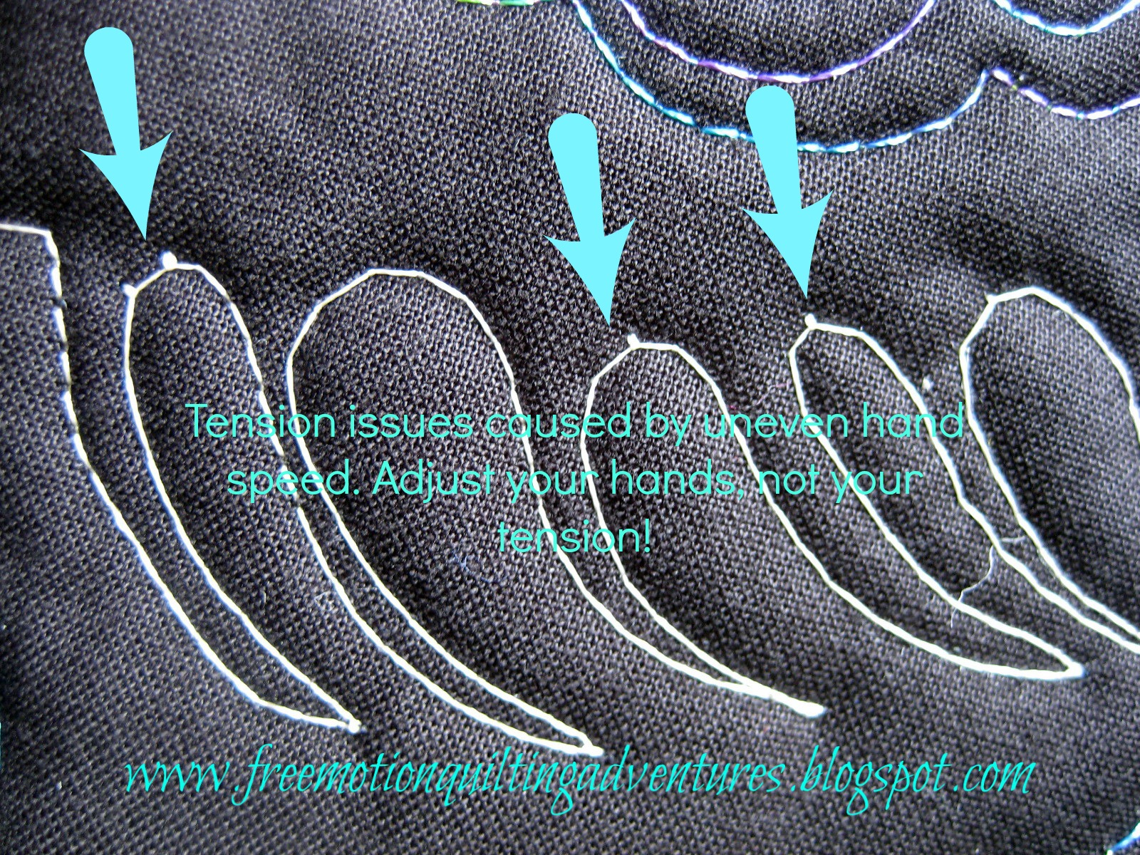 Amy's Free Motion Quilting Adventures Free Motion Monday Feathers, Week 3