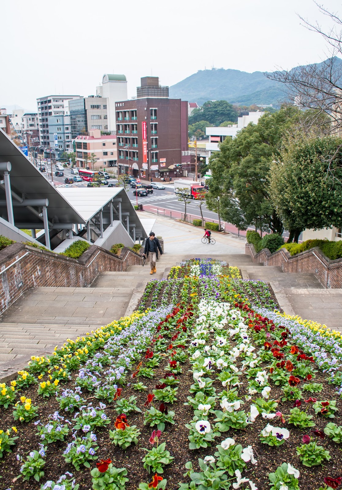 autumn winter flowers in nagasaki autumn winter architecture and flowers in nagasaki up to peace park