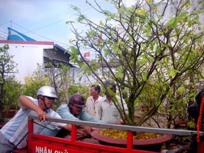 [Image: tet24210.jpg]