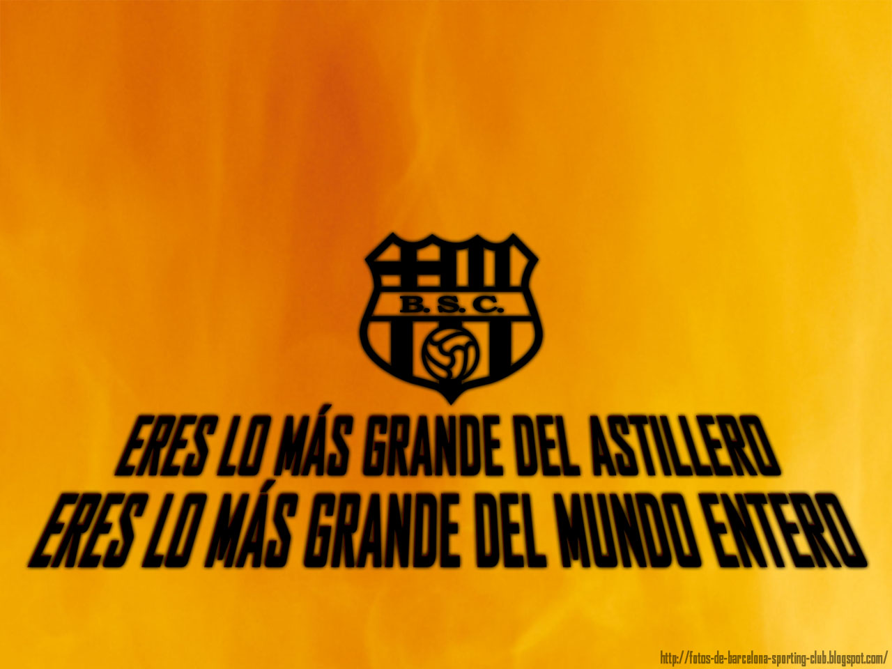 http://4.bp.blogspot.com/-1V8jYO4pTO4/UCHcV9YxgbI/AAAAAAAACFg/BwXqRSVlG_Y/s1600/Fotos+Wallpaper+Barcelona+Sporting+Club+Guayaquil+Ecuador+A2.jpg