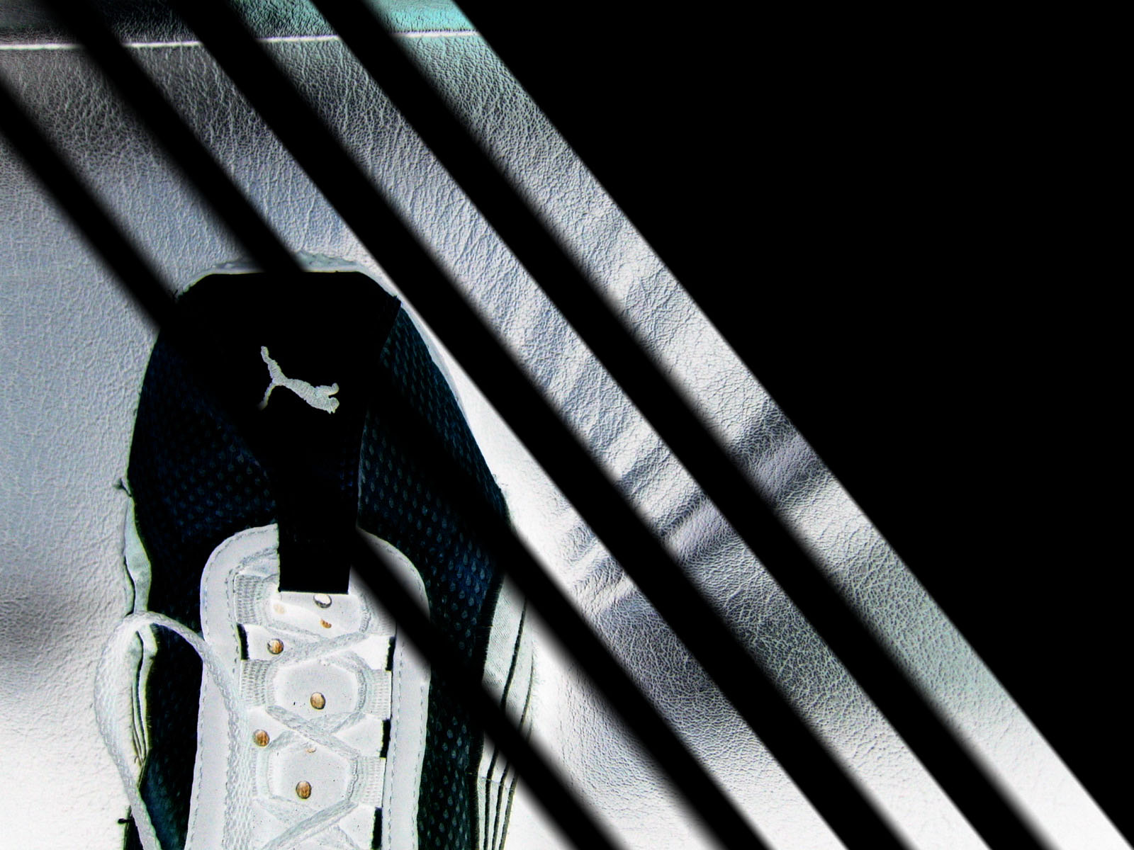 http://4.bp.blogspot.com/-1VBtIihPb_M/TbtCXNavQ5I/AAAAAAAAAOI/avFJwtYann4/s1600/Puma_by_Tuzo.jpg
