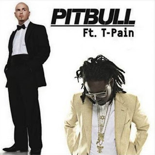 Pitbull - Shake Senora (feat. T-Pain) Lyrics