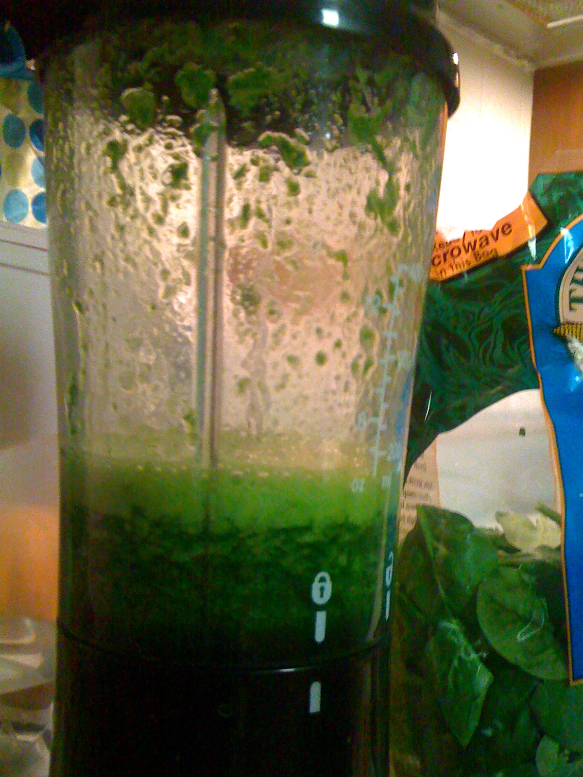 the adventures of grammarissa Adventures in nutrition Spinach
