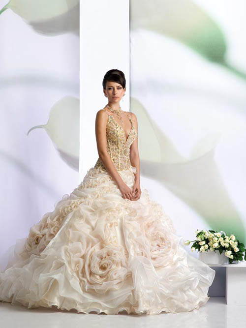 All of these dream wedding dress might be admired with this page were 
