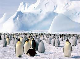 Antarctica