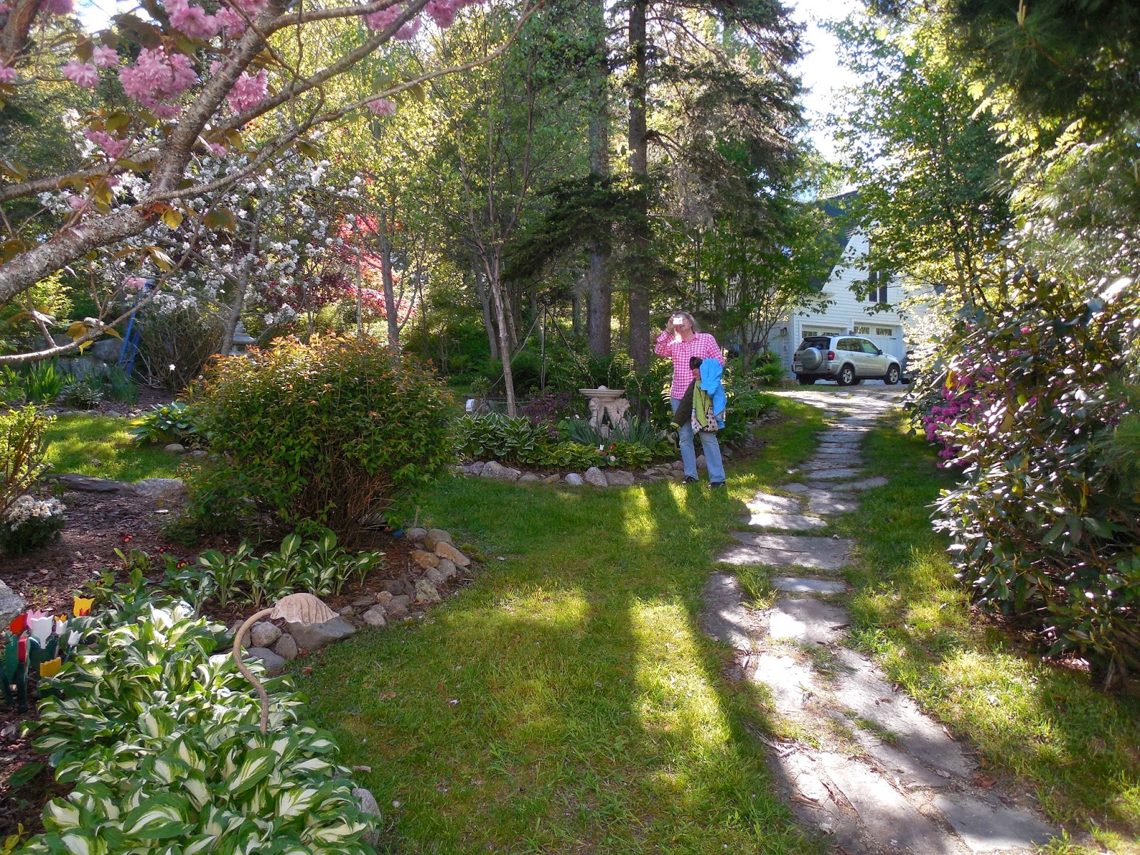 20 Best Plants I Have Images Plants Planting Flowers House Plants