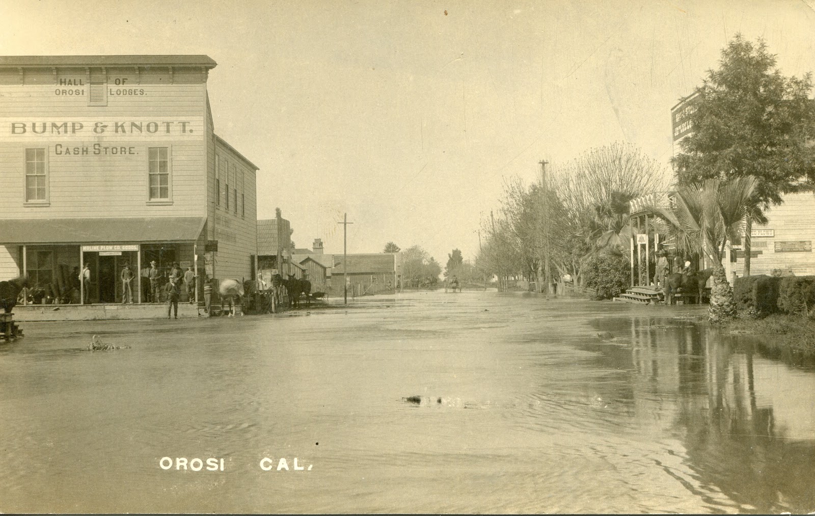 Orosi, CA during a flood. Circa 1909. Orosi, Local history, Tulare