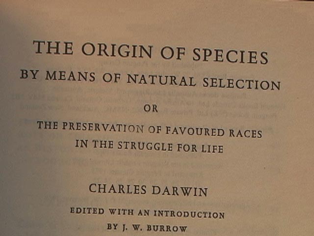 Image result for darwin evolution favored races book