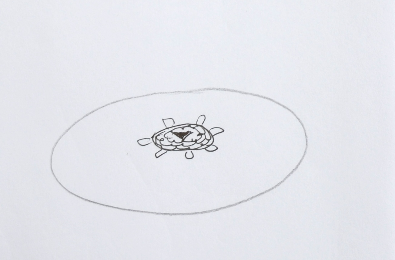 Zinnia Line Drawing : Zinnia line drawing imgkid the image kid has it