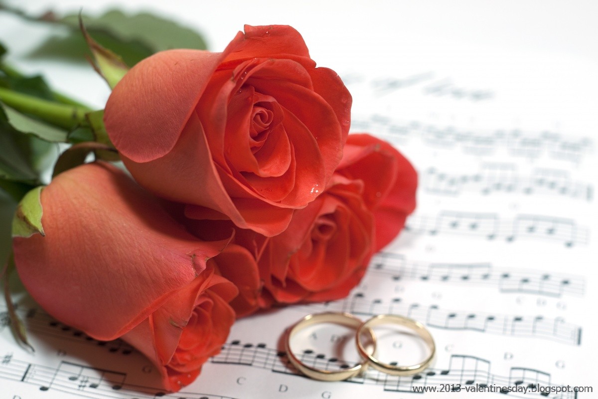 http://4.bp.blogspot.com/-1X3WFTWh5I4/UQ4ferUMleI/AAAAAAAADVo/TnUFsG3OlQI/s1600/rose-day-2013-wallpaper-for-valentinesday+(17).jpg