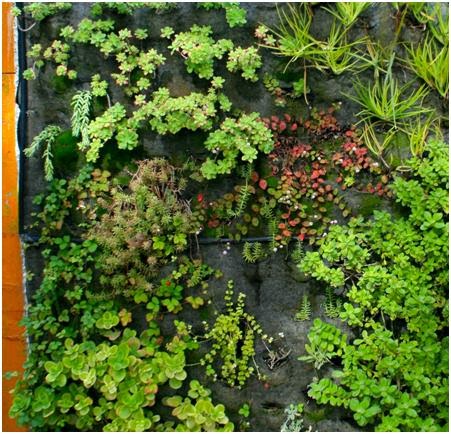 Centro Integrado de Paisajismo y Agroecología, S.Coop.And. (CENINPA