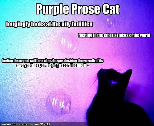 prose writing prompts prose writing prompts