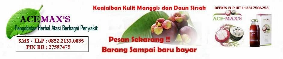 Obat Radang Usus Herbal