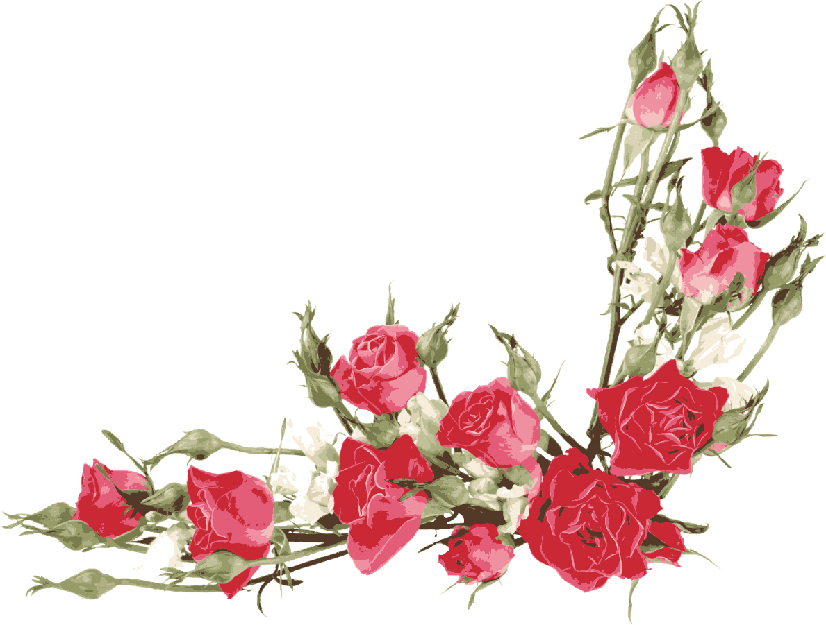 Free Vector がらくた素材庫 赤いバラの飾り罫 Roses Flowers Bouquets イラスト素材