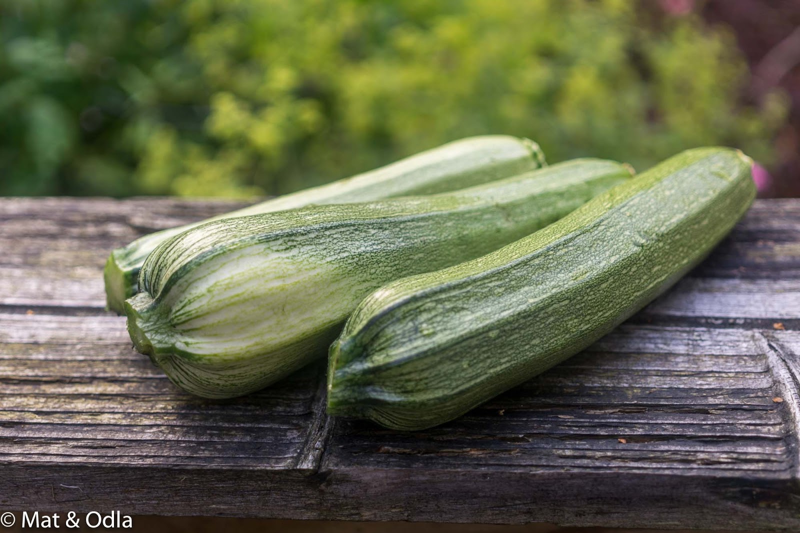 Mat och odla "Falsk potatissallad" med zucchini