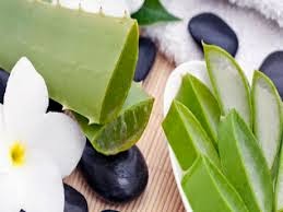 masker lidah buaya Cara menghilangkan flek hitam bekas jerawat secara alami