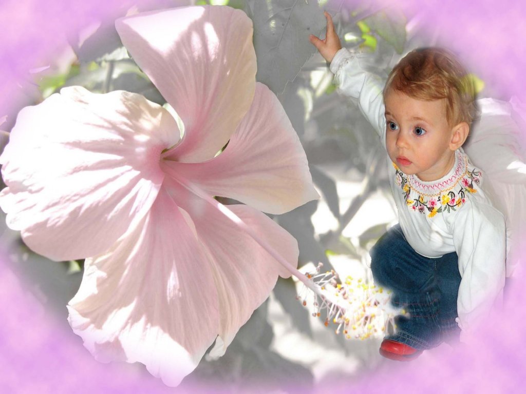 RENKLİ GÖZLÜ BEBEK RESİMLERİManzaralar