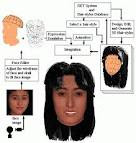 3D hair style