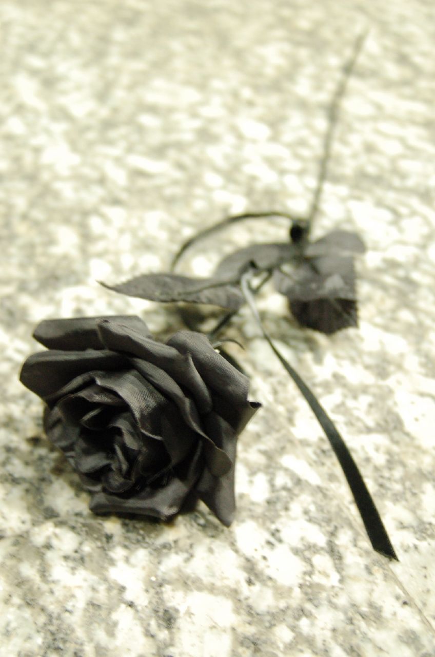 Black And Rose
