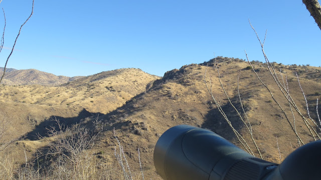 Mexico+Coues+Deer+Hunt+with+Colburn+and+Scott+Outfitters+2.JPG