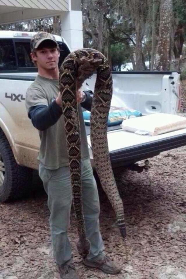 big+snake.jpg