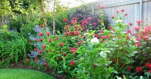 Garden Design: Latest Garden Design Ideas for flower