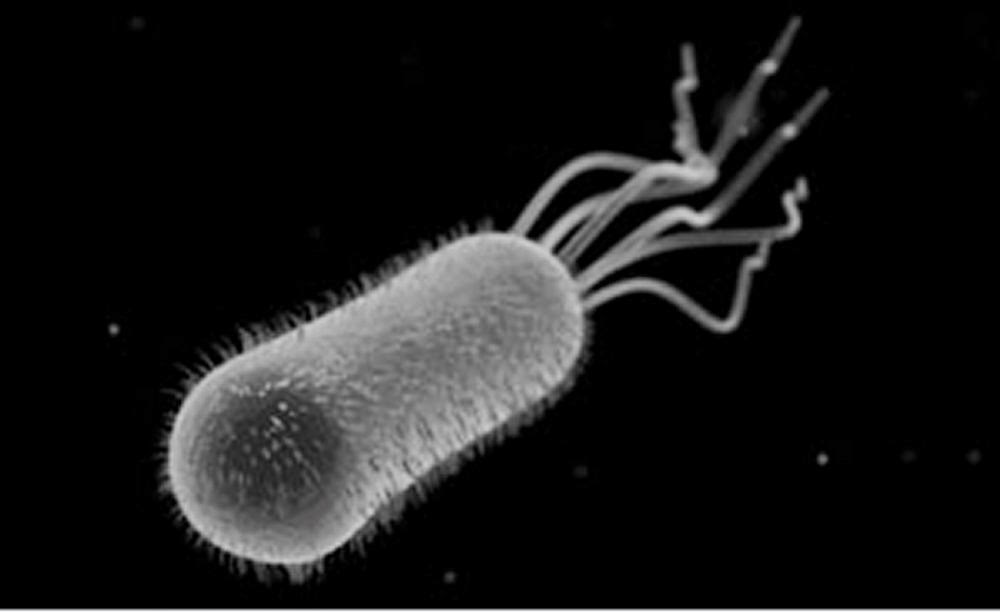 The Pondering Gulch Et Tunc Nulla Erat III