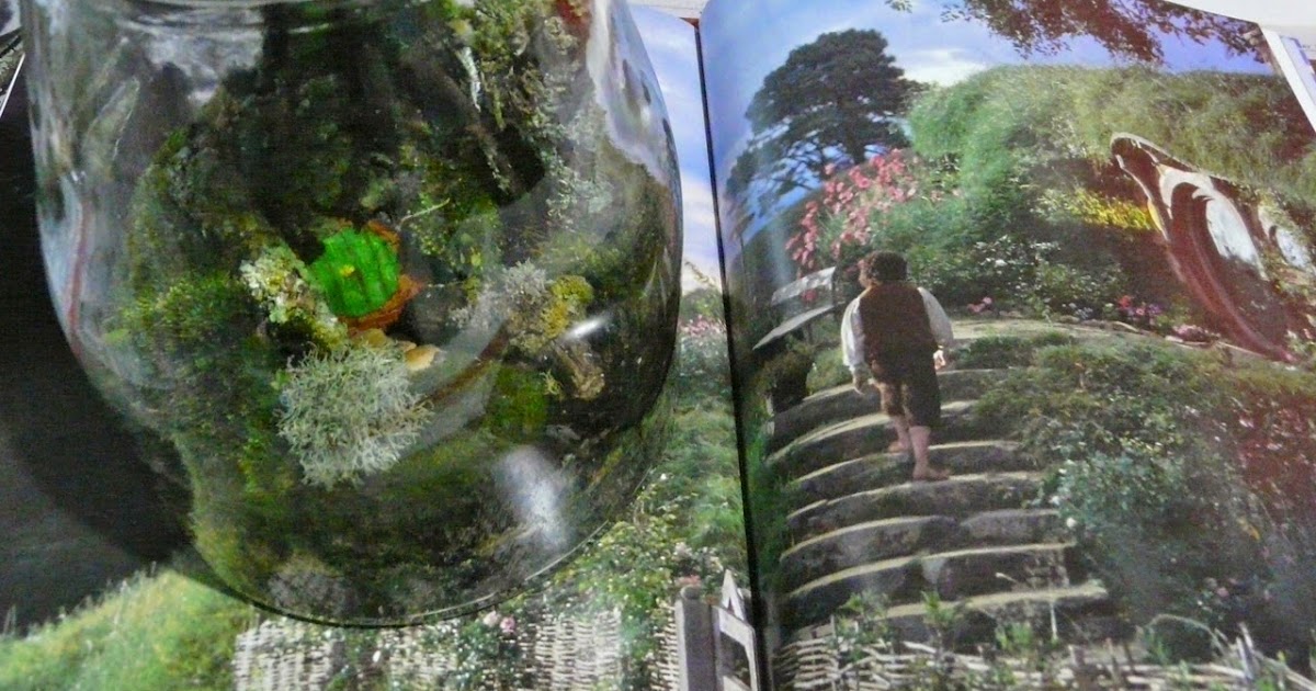 Hobbit House terrarium, Moss terrarium