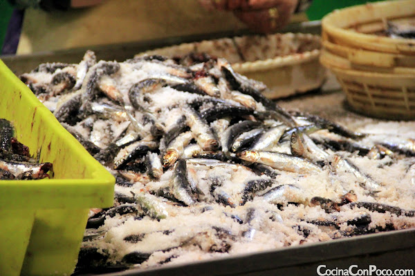 Antxua Eguna - Dia de la anchoa - Getaria - 2011 Antxua Eguna - Dia de la anchoa - Getaria - 2011