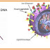 VIRUS DENGAN PENYAKITNYA thumbnail